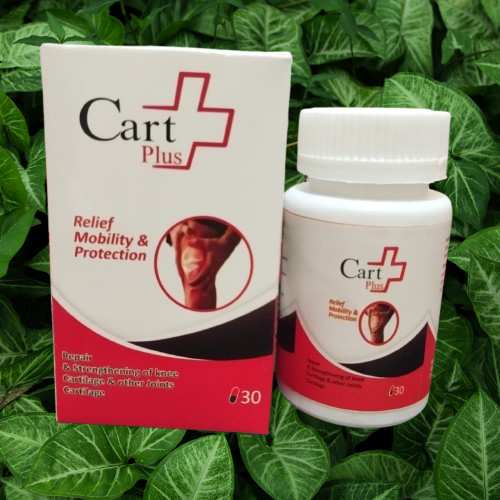 Cart + Relief Mobility & Protection
